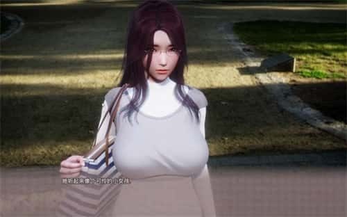 美德V外传 角色养成 资料图 1