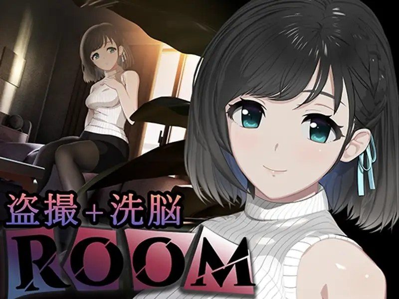 ROOM ROOM中文版下载PC版运行推进思路 封面图